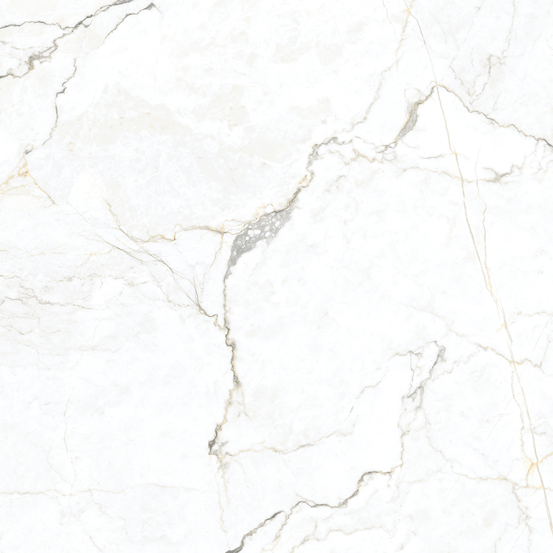 1200x1200mm Argenta Ceramica - Eterna Colbert