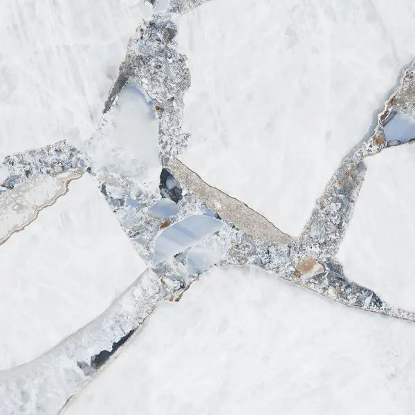 Elite Design Studio - 1200x1200mm Energieker - Marbles Bright Precious