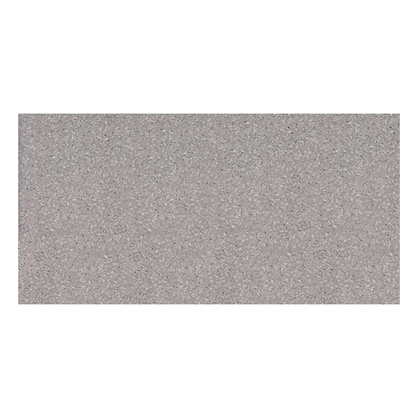 300x600mm EDS - Portland 1.0 Grey