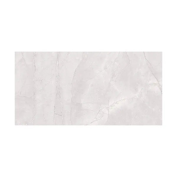 Elite Design Studio - 300x600mm Everstone - Euromarmo Ice Grey
