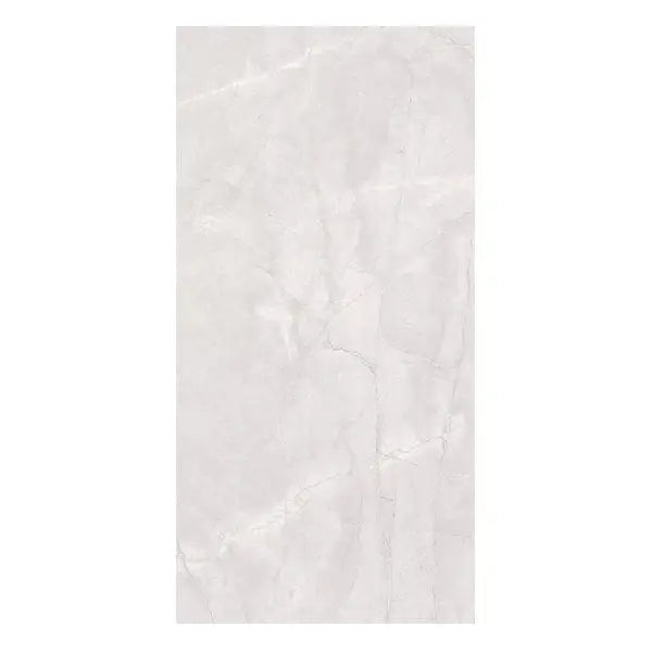 Elite Design Studio - 600x1200mm Everstone - Euromarmo Ice Grey