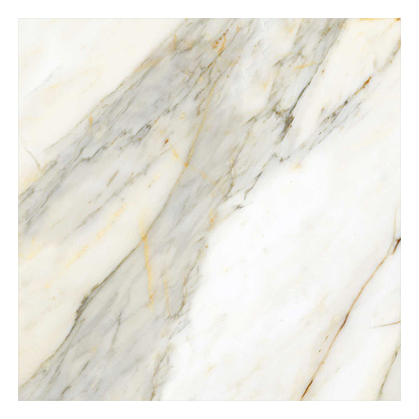 600x600mm Gruppo Cerdisa Ricchetti- Golden Pure Macchia Vecchia