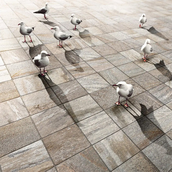 200x200mm Imola - Trail18 Quarzite Grigio
