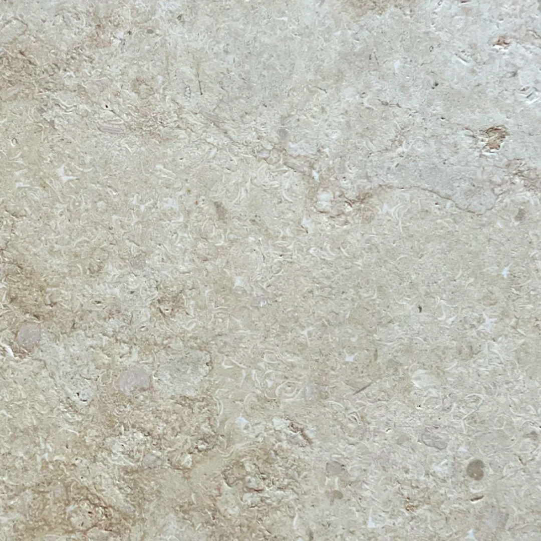 EDS - Cema Maroc Limestone