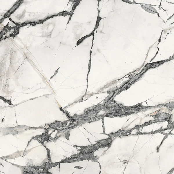 1200x1200mm Alfalux - Marvilla Cellini