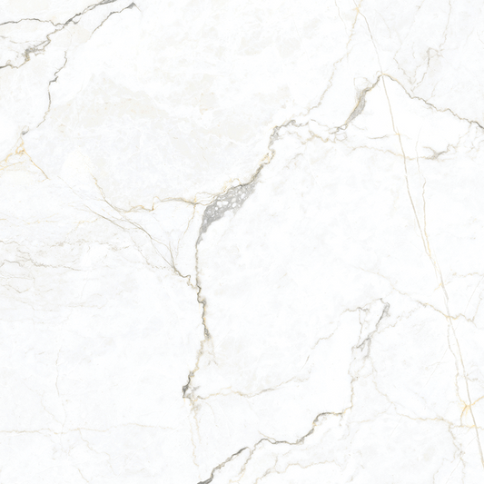 1200x1200mm Argenta Ceramica - Eterna Colbert