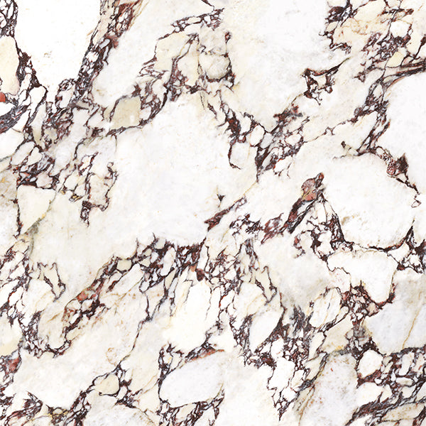 1200x1200mm Energieker - Marbles Calacatta Viola