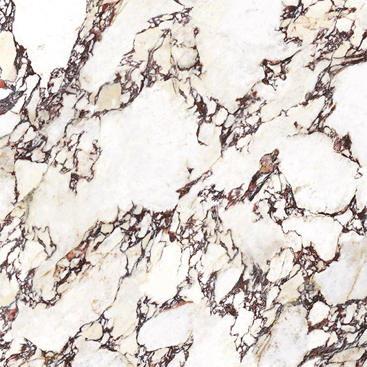 1200x1200mm Energieker - Marbles Calacatta Viola