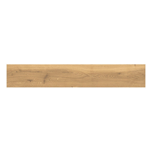 240x1500mm Rondine - Timeless Honey