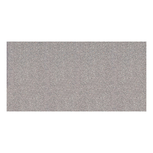 300x600mm EDS - Portland 1.0 Grey