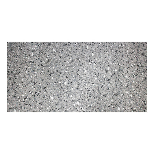 300x600mm EDS - Portland 2.0 Cement
