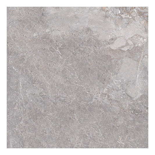 600x600mm Edimax Astor - Golden Age Grey