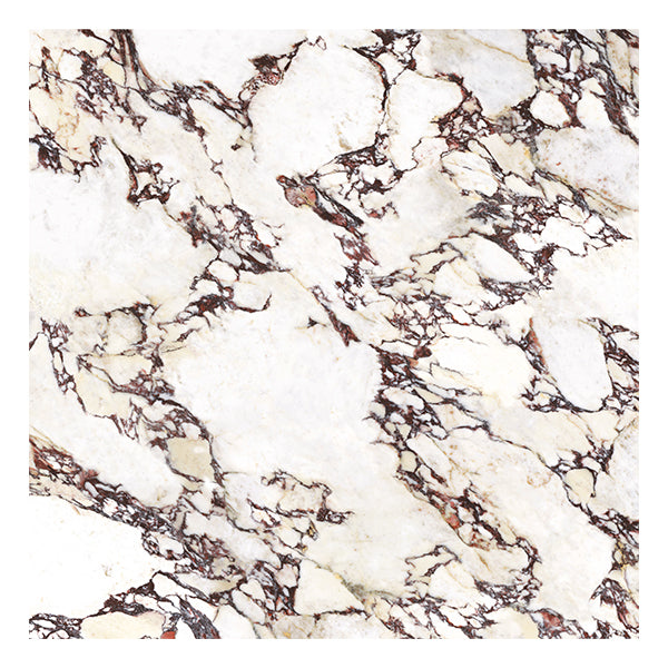 600x600mm Energieker - Marbles Calacatta Viola