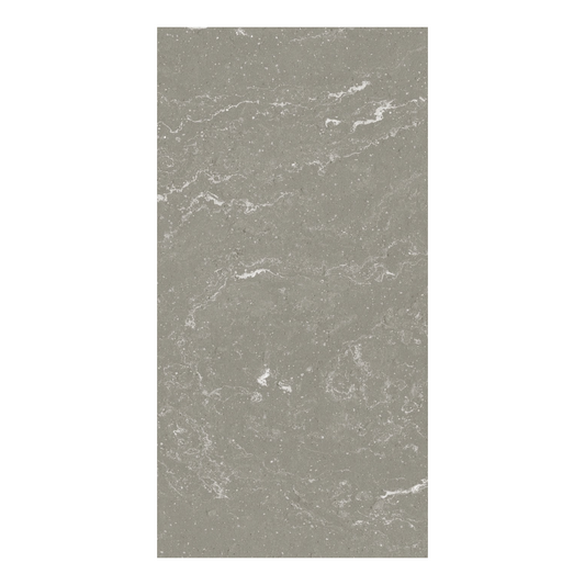 604x1208mm Ceramica Fioranese - I Variegati Cenere
