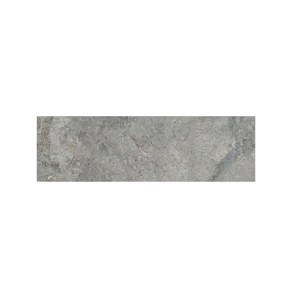 60x200mm EDS - Andes Grey
