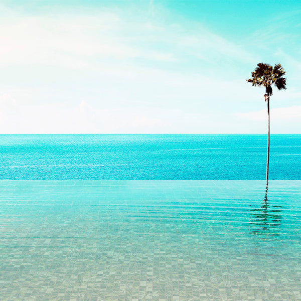 312x495mm Ezarri Pool Mosaic - Gemma Lace 25mm Gloss