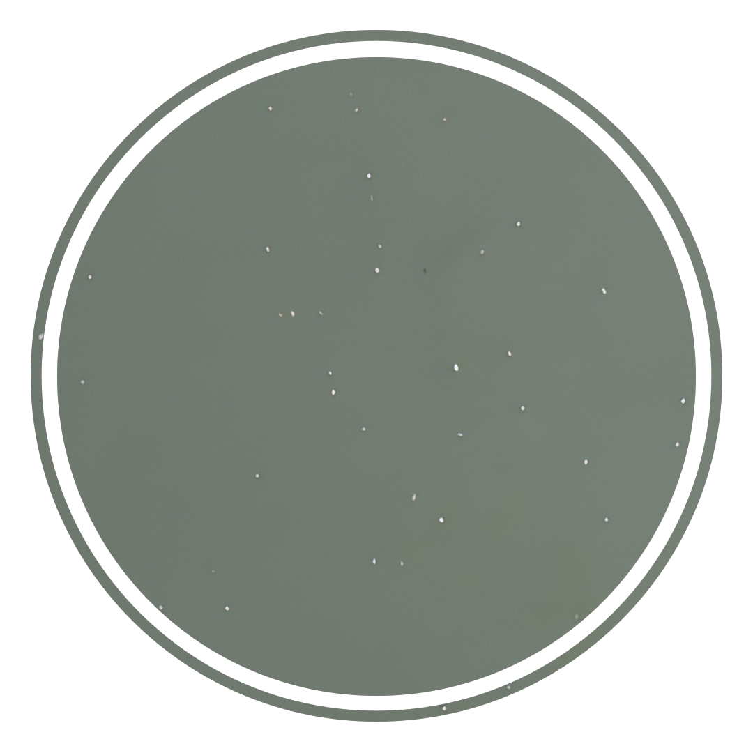 Elite Design Studio -  500x300x120mm Pietra Bianca - Briza Rectangular Above Counter Basin Concaved Edge Matcha (Speckle)
